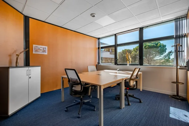 Bureau privé - 06906 - 15 postes - 3750€