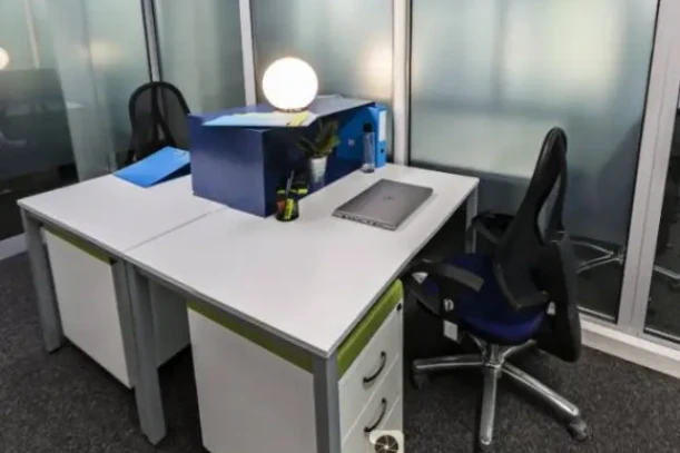 Bureau privé - 92100 - 2 postes - 850€