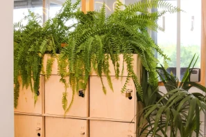 Bureau privé - 94340 - 2 postes - 850€