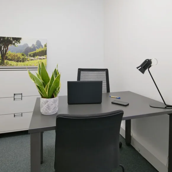 Bureau privé 10 m² 1 poste Coworking Allées Jean Jaurès Toulouse 31000 - photo 1