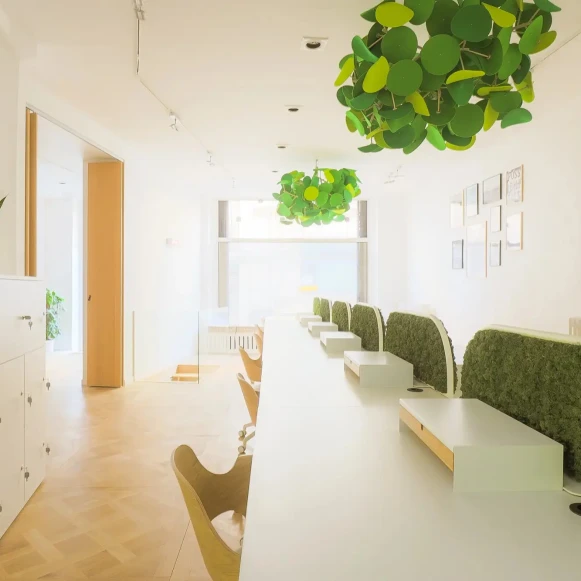 Espace indépendant 125 m² 20 postes Location bureau Rue Laferrière Paris 75009 - photo 3