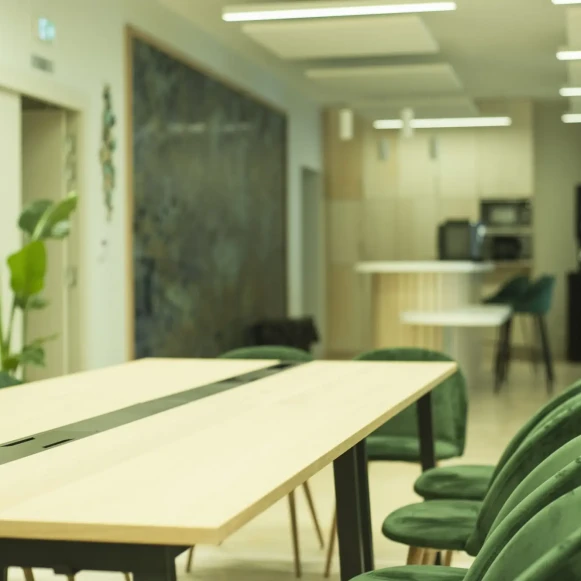 Open Space  12 postes Coworking Rue du Faubourg-de-Pierre Strasbourg 67000 - photo 6