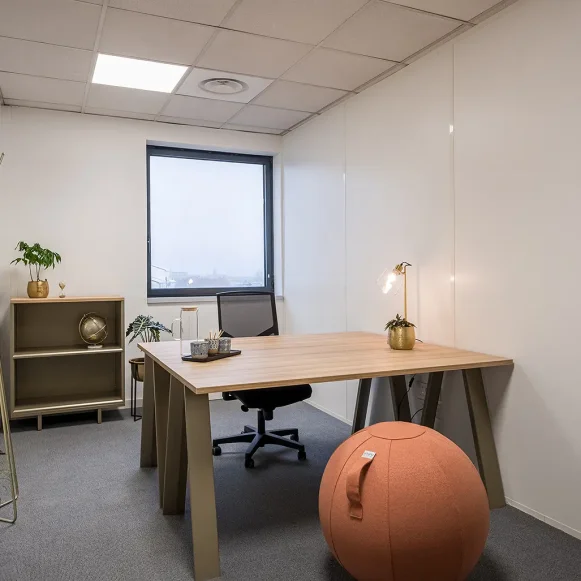 Bureau privé 16 m² 2 postes Location bureau Rue de la Haye Schiltigheim 67300 - photo 1