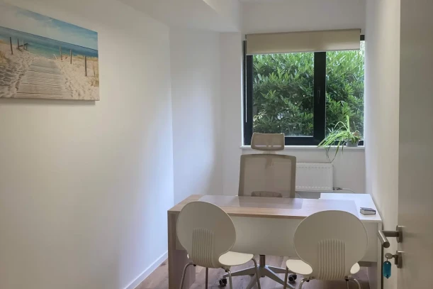 Bureau privé - 67205 - 1 poste - 290€