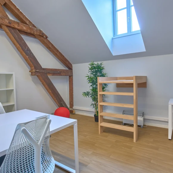 Bureau privé 17 m² 6 postes Coworking Cour des Cigarières Strasbourg 67000 - photo 2