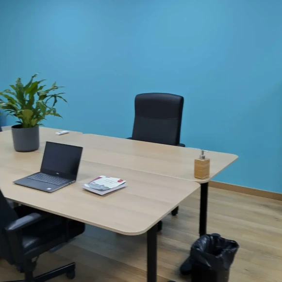 Bureau privé 50 m² 6 postes Location bureau Route de Vienne Lyon 69007 - photo 8