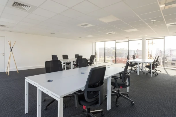 Bureau privé - 69007 - 9 postes - 2421€