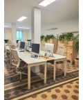 Open Space - 33000 - 20 postes - 300€