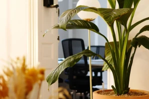 Bureau privé - 33000 - 5 postes - 2250€