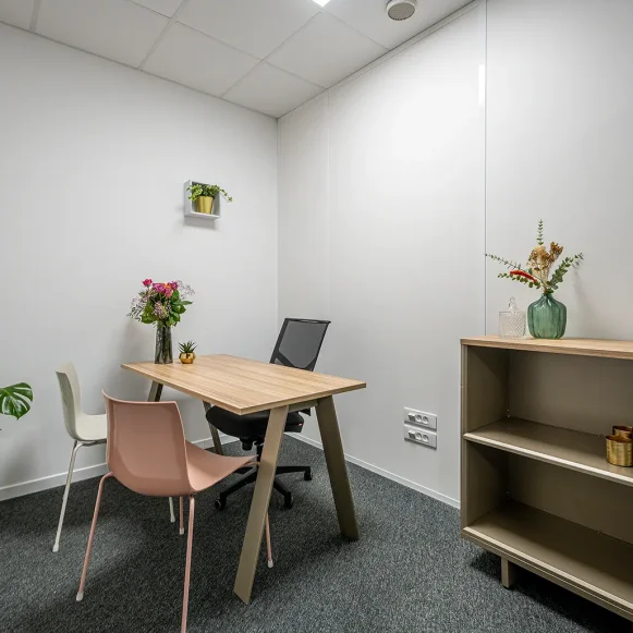 Bureau privé 8 m² 1 poste Location bureau Rue de la Haye Schiltigheim 67300 - photo 1