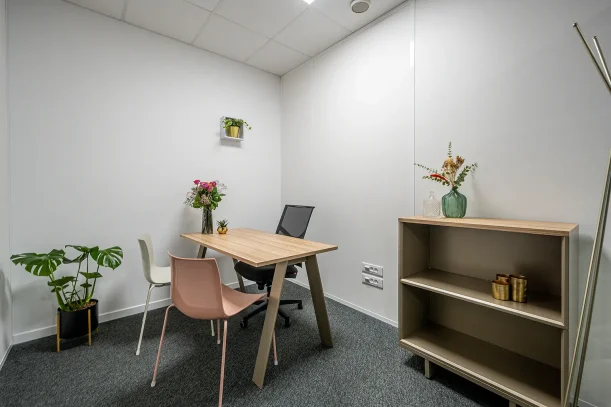Bureau privé - 67300 - 1 poste - 567€