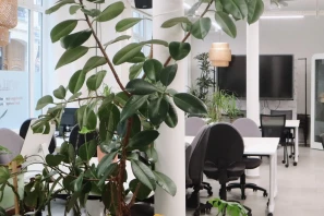 Open Space - 75002 - 10 postes - 310€