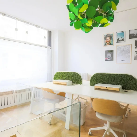 Espace indépendant 125 m² 20 postes Location bureau Rue Laferrière Paris 75009 - photo 10