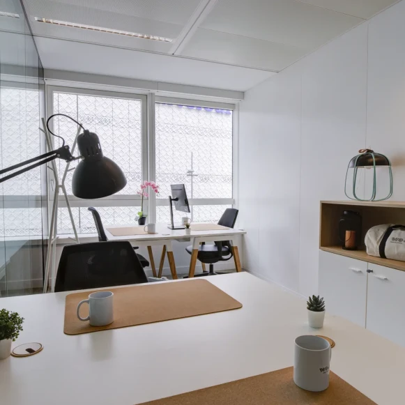 Bureau privé 27 m² 7 postes Coworking Rue des Cuirassiers Lyon 69003 - photo 13