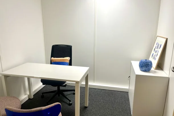 Bureau privé - 69125 - 1 poste - 311€