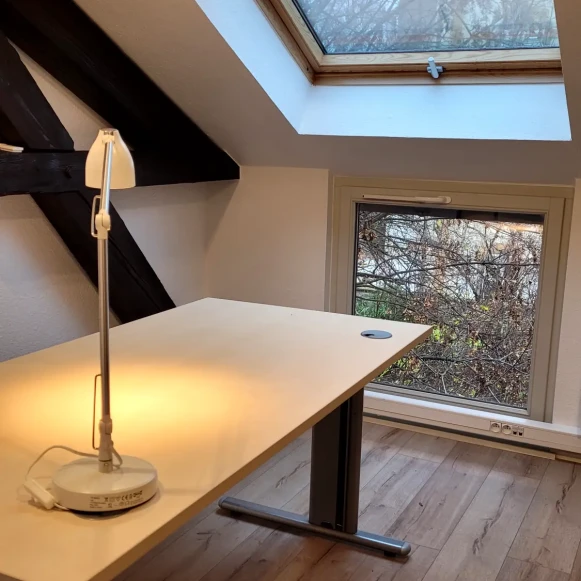 Bureau privé 10 m² 2 postes Location bureau Quai Jacques-Sturm Strasbourg 67000 - photo 1