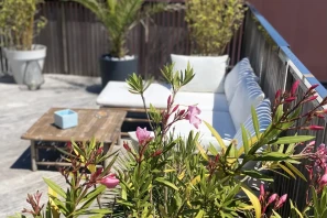 Open Space - 40130 - 16 postes - 220€