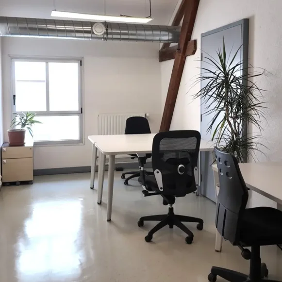 Bureau privé 16 m² 3 postes Location bureau Rue Professeur Zimmermann Lyon 69002 - photo 1