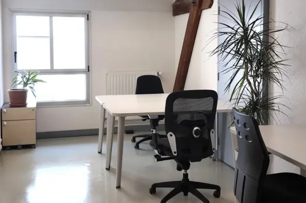 Bureau privé - 69002 - 3 postes - 845€