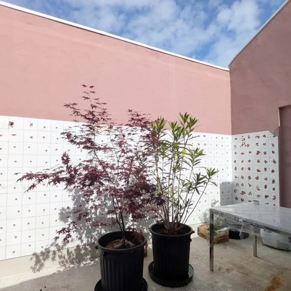 Open Space  7 postes Coworking Rue Emile Beaufils Montreuil 93100 - photo 5