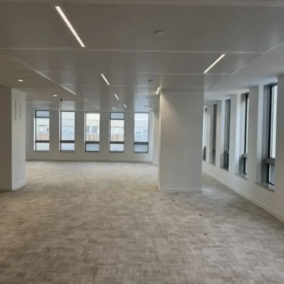 Espace indépendant 300 m² 60 postes Location bureau Rue Garibaldi Lyon 69003 - photo 10