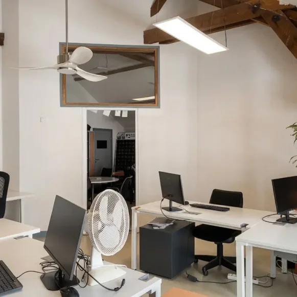 Bureau privé 28 m² 5 postes Coworking Rue Professeur Zimmermann Lyon 69002 - photo 1