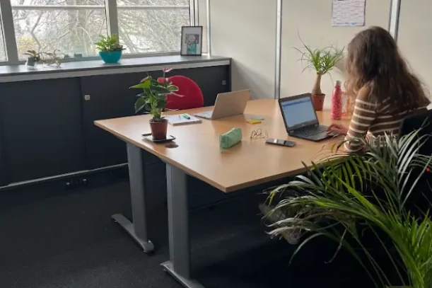 Bureau privé - 35000 - 5 postes - 1285€