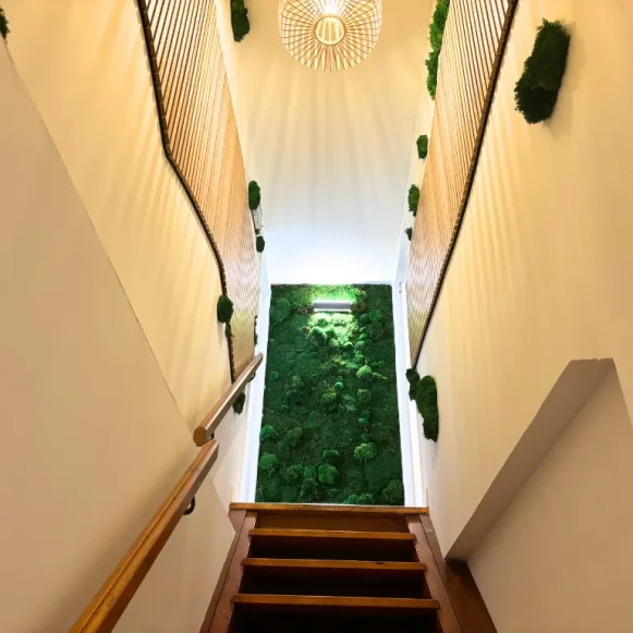 Open Space  4 postes Coworking Rue de la République Albi 81000 - photo 3