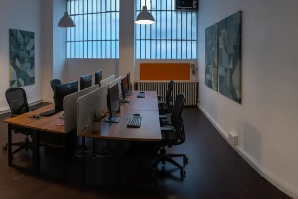 Bureau privé - 69007 - 10 postes - 3500€