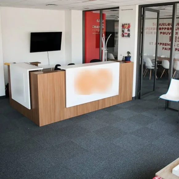 Bureau privé 43 m² 15 postes Coworking Rue Victor Lagrange Lyon 69007 - photo 3