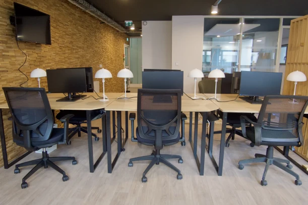 Open Space - 91570 - 12 postes - 150€