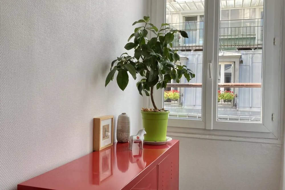 Bureau privé - 75009 - 3 postes - 1550€