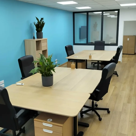 Bureau privé 50 m² 6 postes Location bureau Route de Vienne Lyon 69007 - photo 1