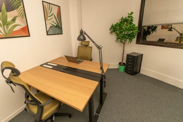 Bureau privé - 06410 - 2 postes - 150€