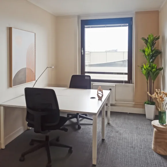 Bureau privé 22 m² 6 postes Coworking Quai Kléber Strasbourg 67000 - photo 1