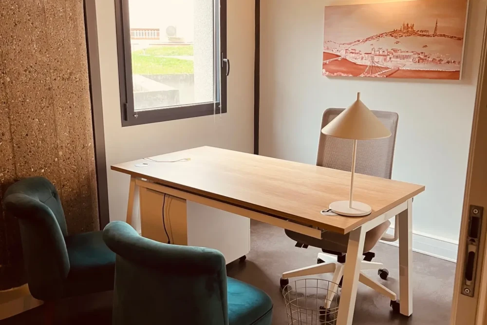 Bureau privé - 69006 - 1 poste - 500€