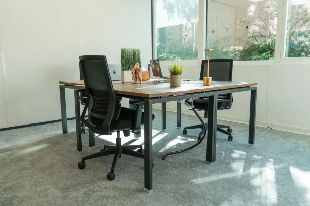 Bureau privé - 06410 - 3 postes - 809€