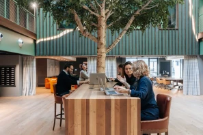 Bureau privé - 38240 - 6 postes - 1523€