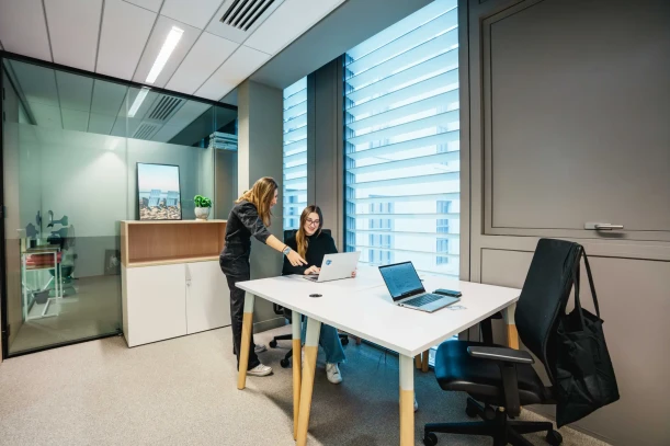 Bureau privé - 69002 - 2 postes - 1000€