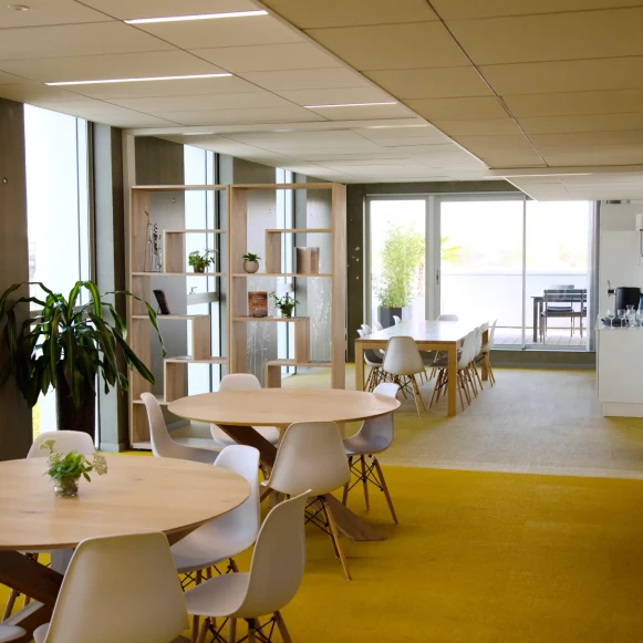 Open Space  30 postes Coworking Avenue Escadrille Normandie Niemen Blagnac 31700 - photo 11