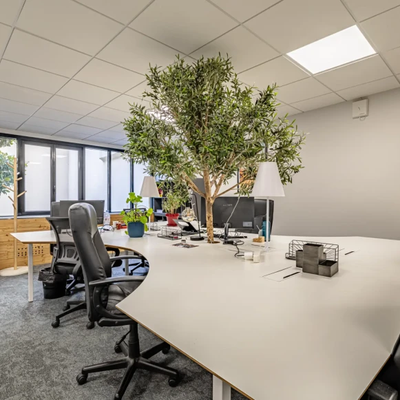 Open Space  20 postes Coworking Rue de Rochechouart Paris 75009 - photo 2