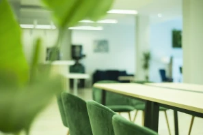 Open Space - 67000 - 12 postes - 200€