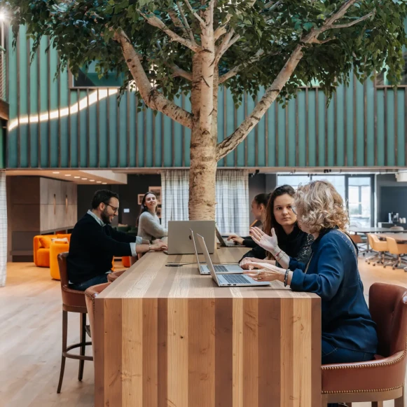 Bureau privé 208 m² 22 postes Coworking Chemin du Vieux Chêne Meylan 38240 - photo 9