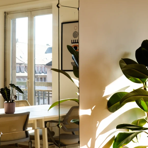 Open Space  5 postes Location bureau Rue des Hallebardes Strasbourg 67000 - photo 2