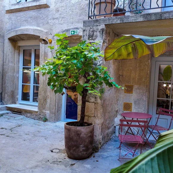 Bureau privé 29 m² 6 postes Coworking Rue de l'Université Montpellier 34000 - photo 4