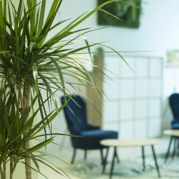 Bureau privé 22 m² 3 postes Coworking Rue du Faubourg-de-Pierre Strasbourg 67000 - photo 5