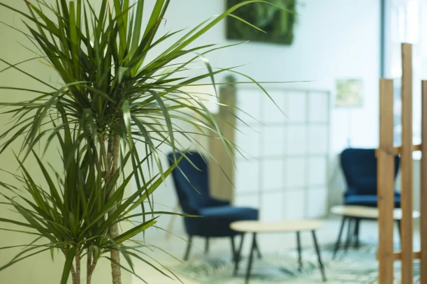 Open Space - 67000 - 12 postes - 200€