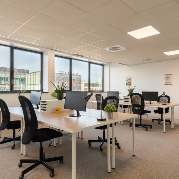 Espace indépendant 250 m² 45 postes Coworking Avenue Paul Kruger Villeurbanne 69100 - photo 1