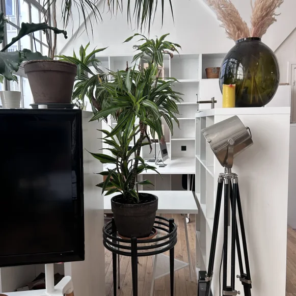 Open Space  3 postes Location bureau Rue Faidherbe Paris 75011 - photo 6