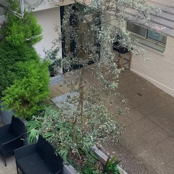 Bureau privé 45 m² 14 postes Coworking Rue Rabelais Montreuil 93100 - photo 2